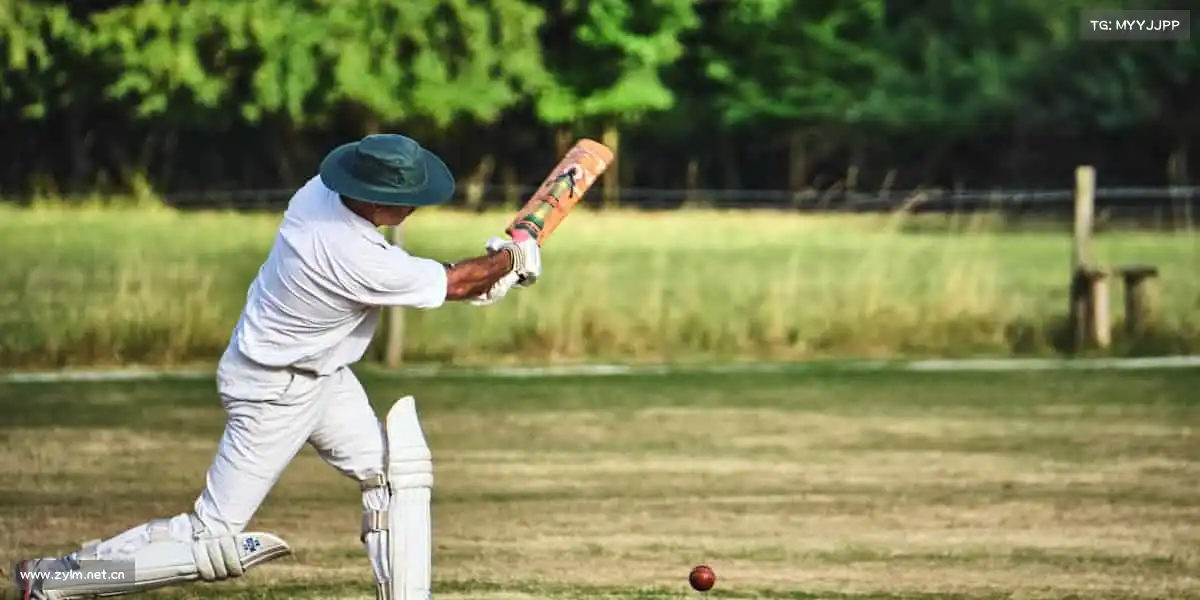 <strong>黑料家庭海角</strong>🎬 用光影编织岁月故事，让每帧画面都承载人心温度